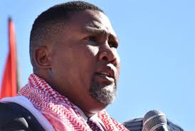 Nelson Mandela's grandson: Israel is committing war crimes and genocide against the Palestinians